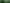 Green Wall Wood Floors