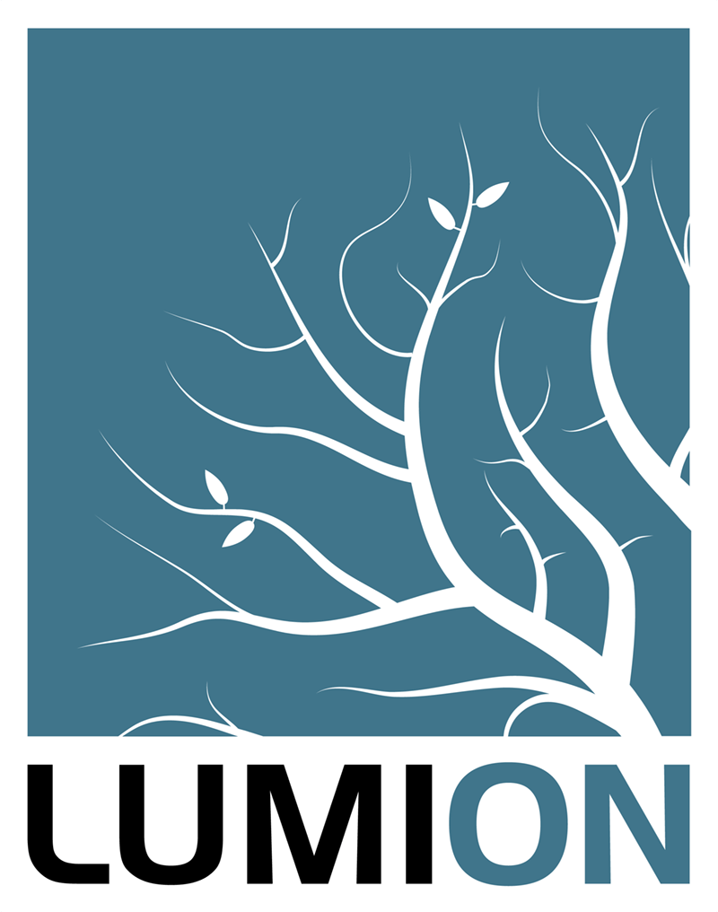 Lumion Logo 2017Svg