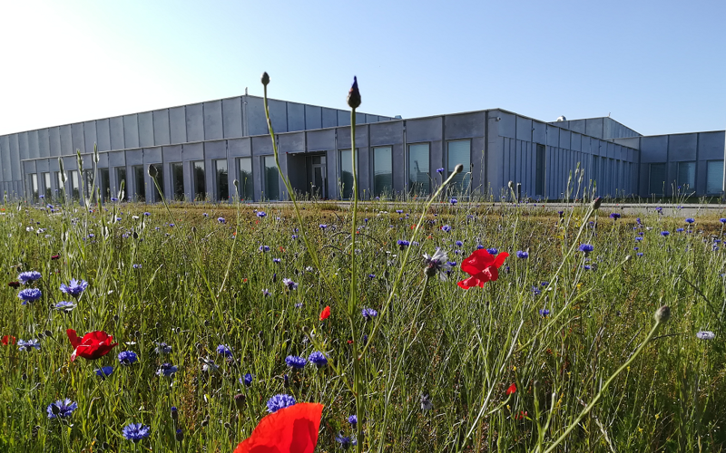 Skræddersyet Autodesk Revit-løsning til flytning af Det Kgl. Bibliotek